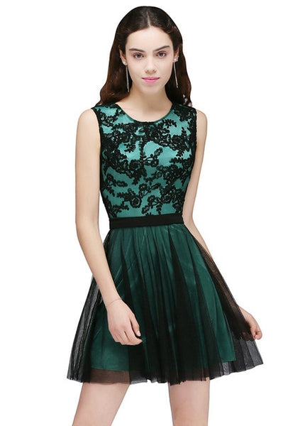 Lace Appliques Long Evening Dress